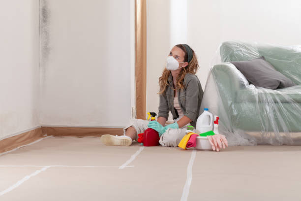 Reliable Crawl Space Mold Removal contractor in Ferndale, MI by WQB Mold Removal